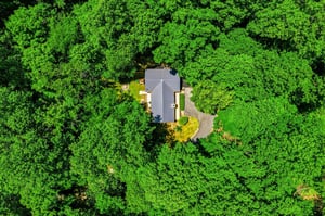 A private retreat surrounded by lush forest canopy and mature trees, offering complete seclusion and natural beauty with winding driveway access to the property entrance.