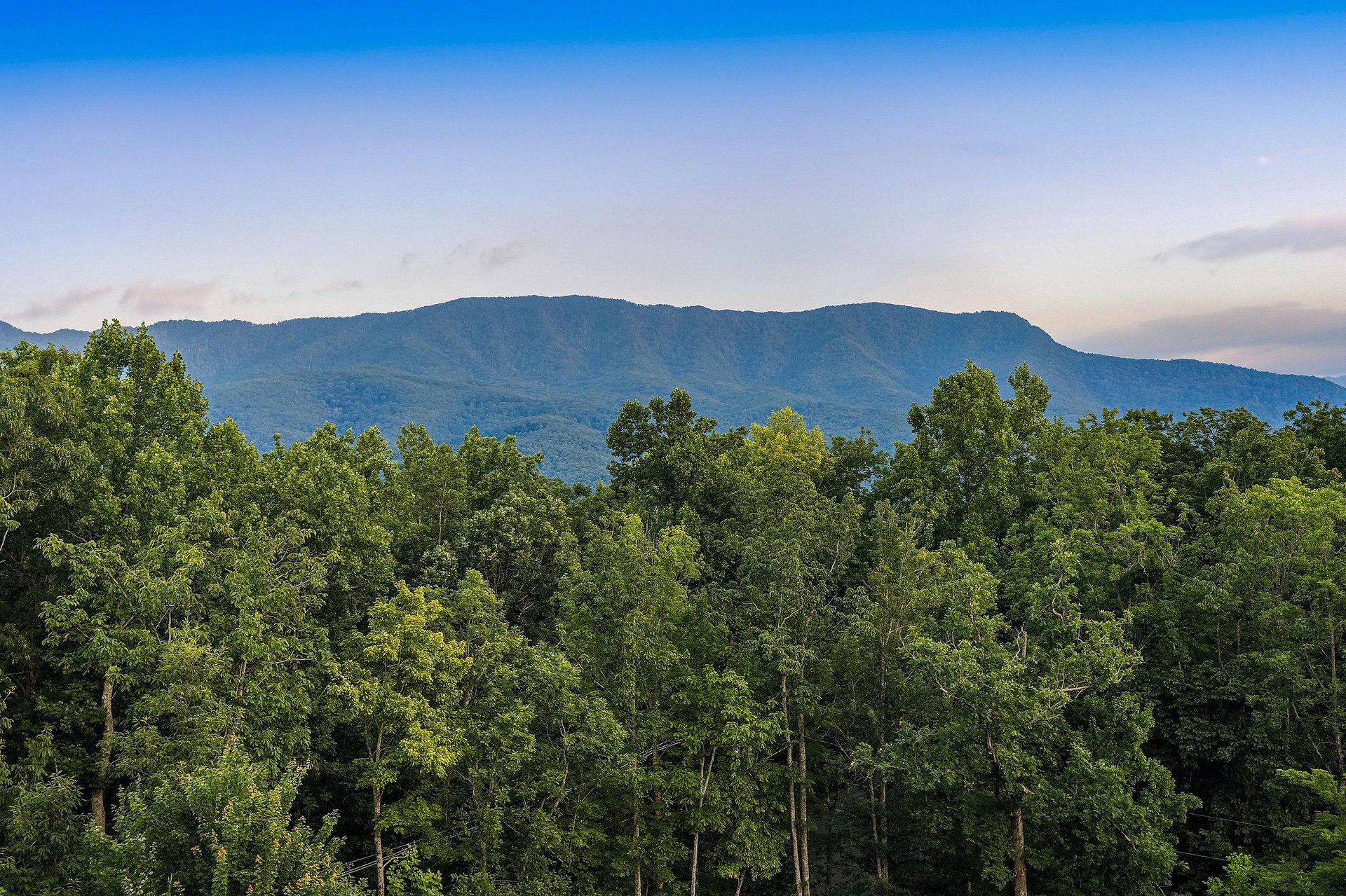 Mountain vistas rise above lush forest canopy, offering a scenic backdrop to the propertys natural surroundings. Clear blue skies enhance the tranquil landscape visible from the area.