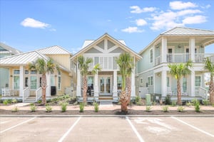 Latin Vibe, Back View