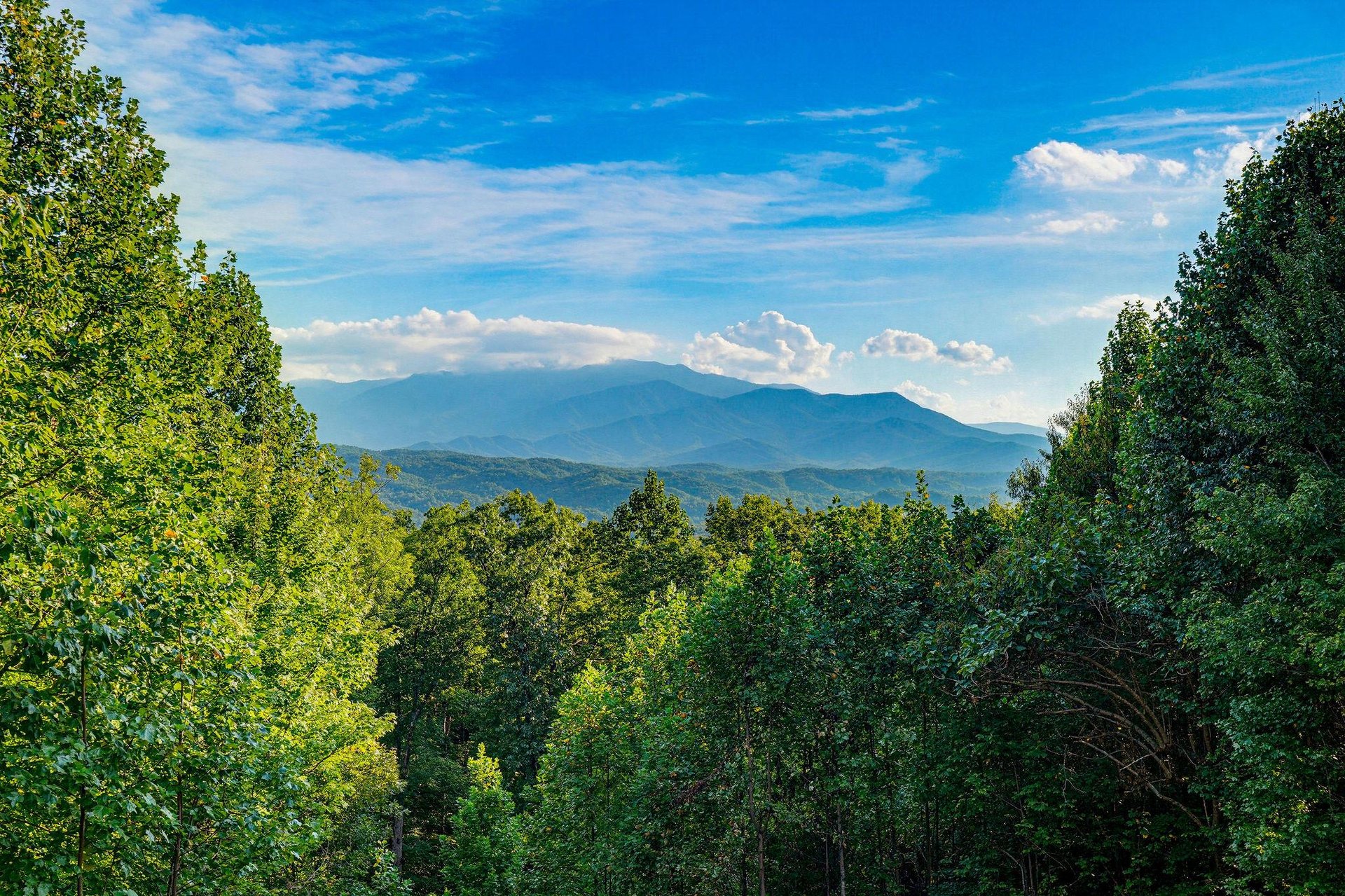 The property sits nestled in the lush foothills with majestic mountain views under expansive skies—a scenic backdrop for a peaceful mountain getaway.