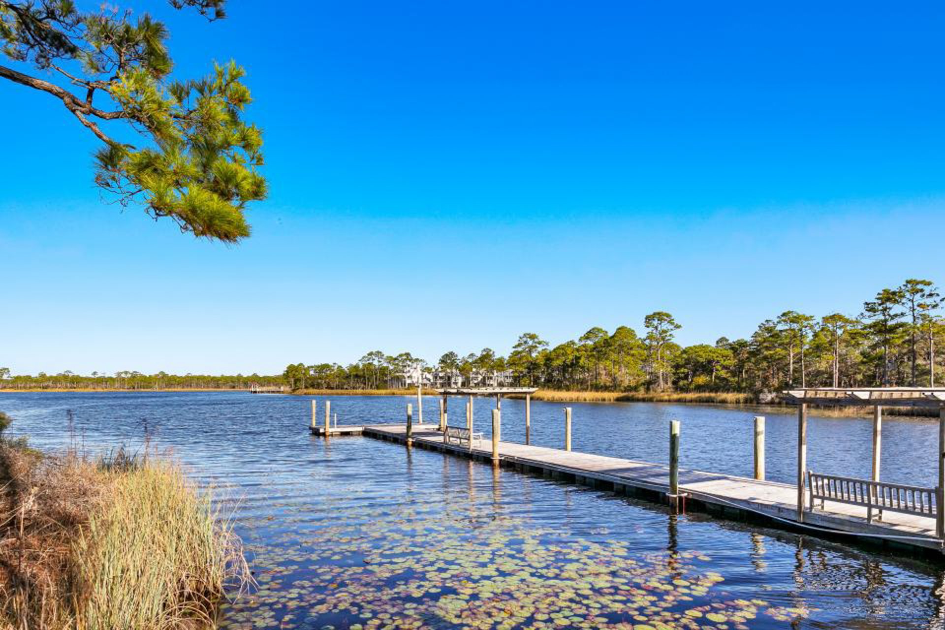 Watercolor   Emerald Dream 24