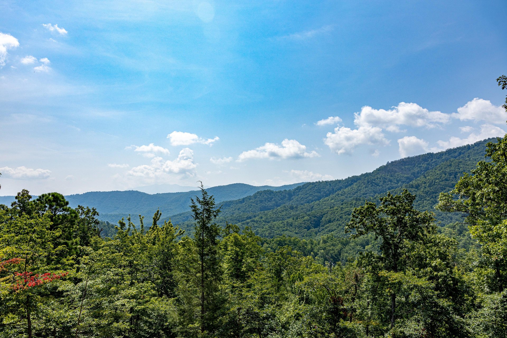 Deck Views