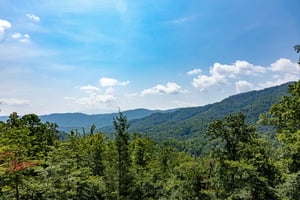 Deck Views