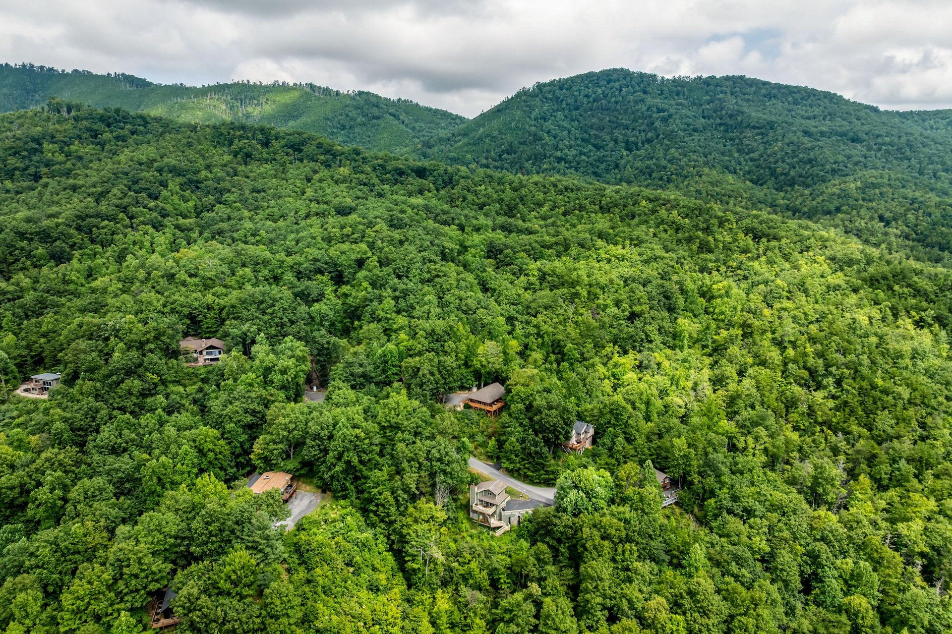 dancinginthemoonlight35