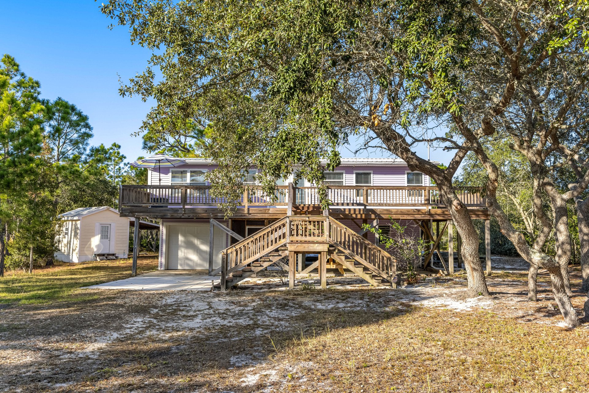 The Purple Palmetto 25