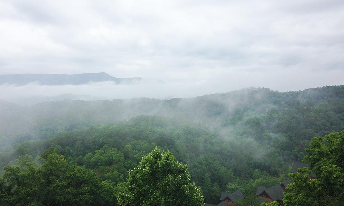 View from Deck