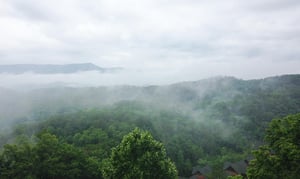 View from Deck