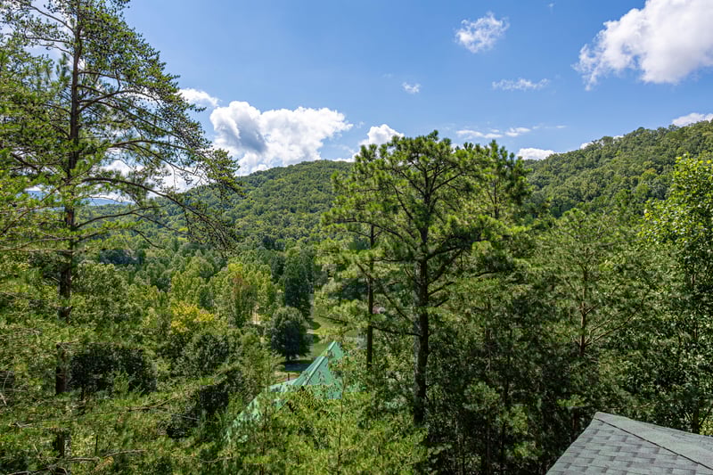 mountain views