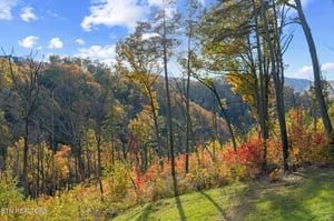 Stunning autumn foliage surrounds the property with vibrant reds, oranges, and yellows blanketing the rolling mountains, creating a peaceful natural escape.
