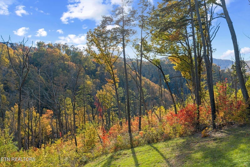 Stunning autumn foliage surrounds the property with vibrant reds, oranges, and yellows blanketing the rolling mountains, creating a peaceful natural escape.