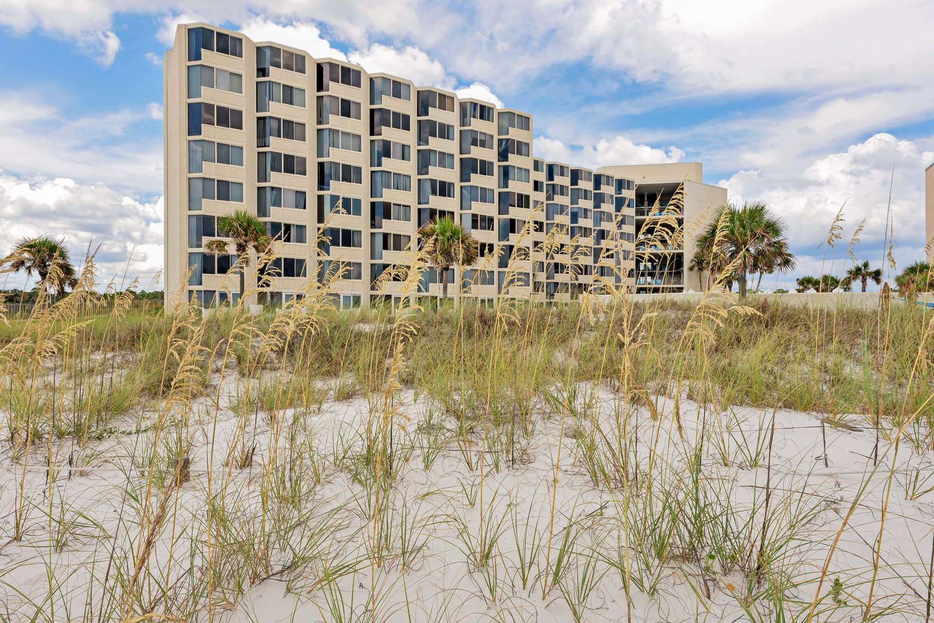 Top of the Gulf 506 24