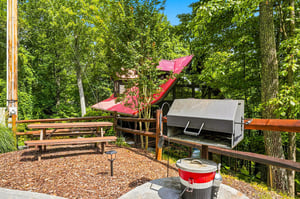 Fire up the grill and gather around the picnic tables in your private forest setting, where lush greenery and fresh air set the scene for memorable cookouts.