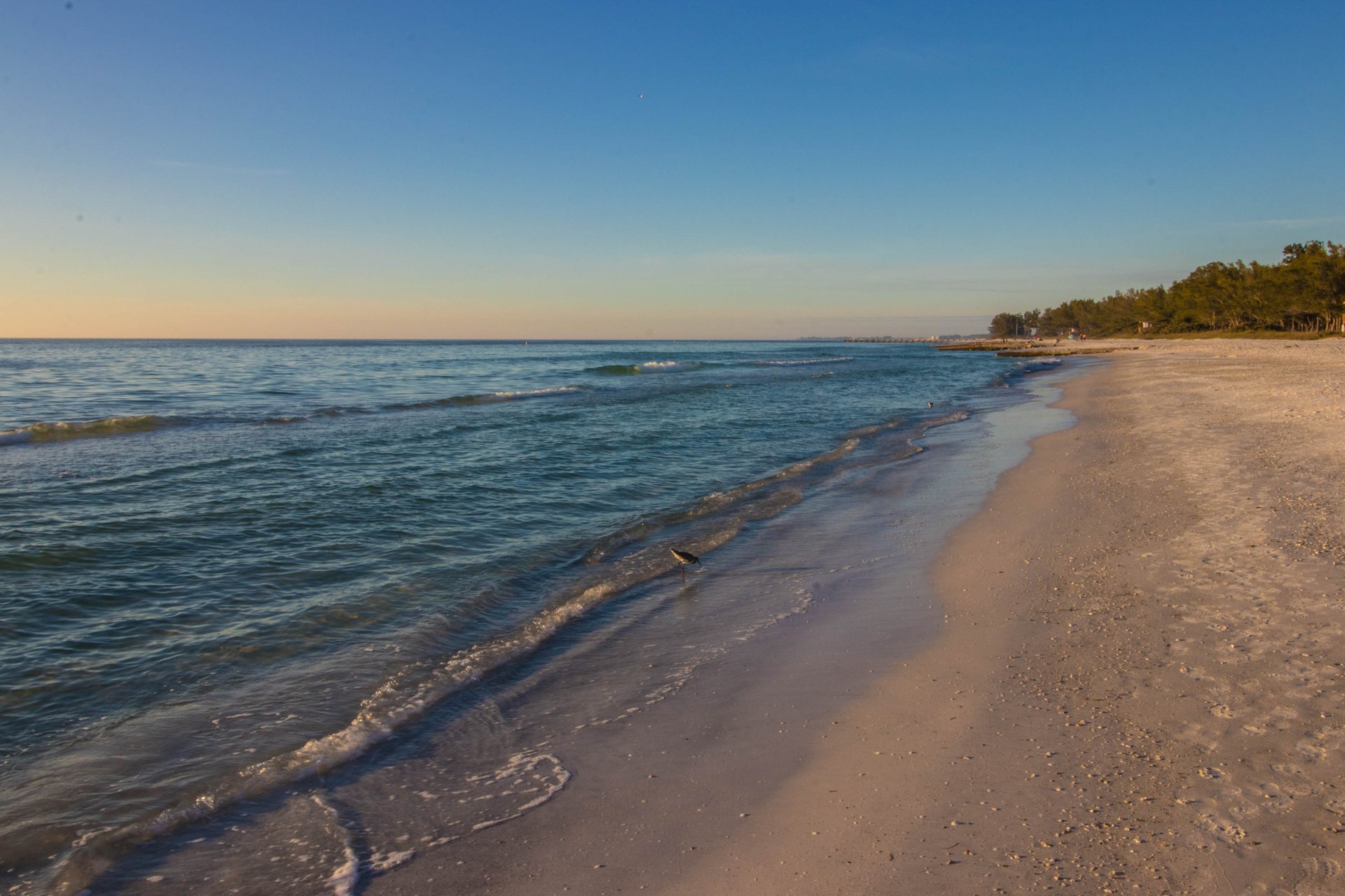 Turtle Cove East 39