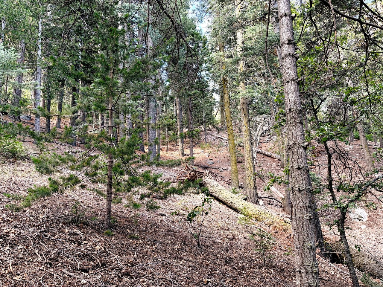 Width1280