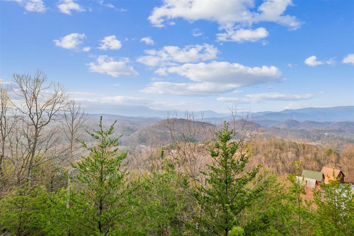028View