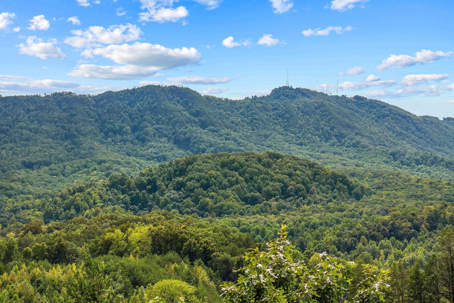 View from Two Dancing Bear Cubs cabin