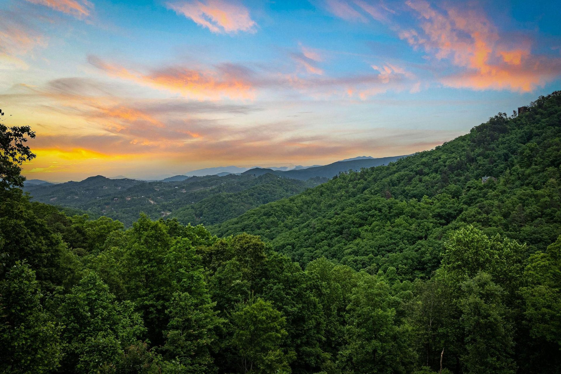 View from Black Bears  Biscuits Lodge