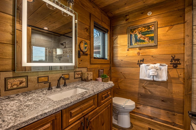 SinkToilet