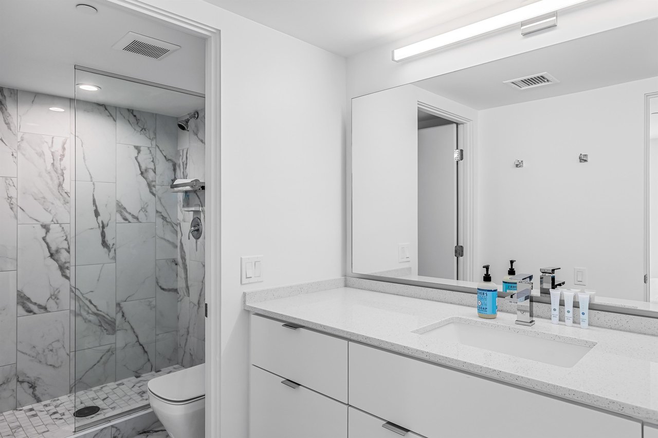 Guest bathroom