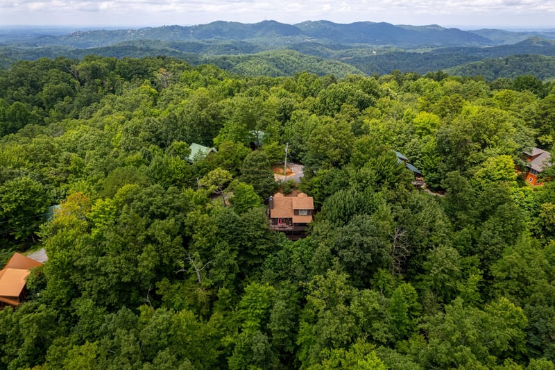 aerial shot