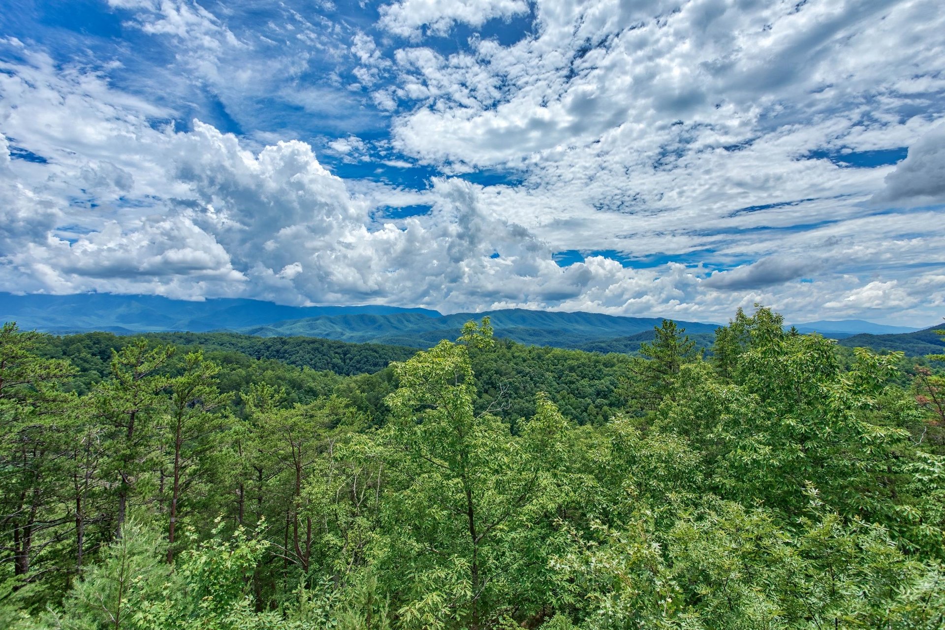 View from I Do Love Views cabin