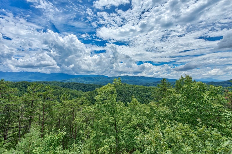 View from I Do Love Views cabin