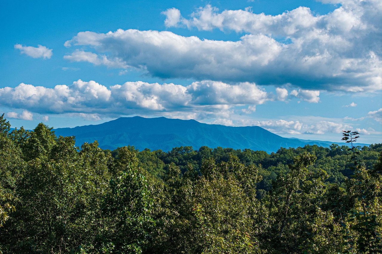 leconteviewlodgeext17