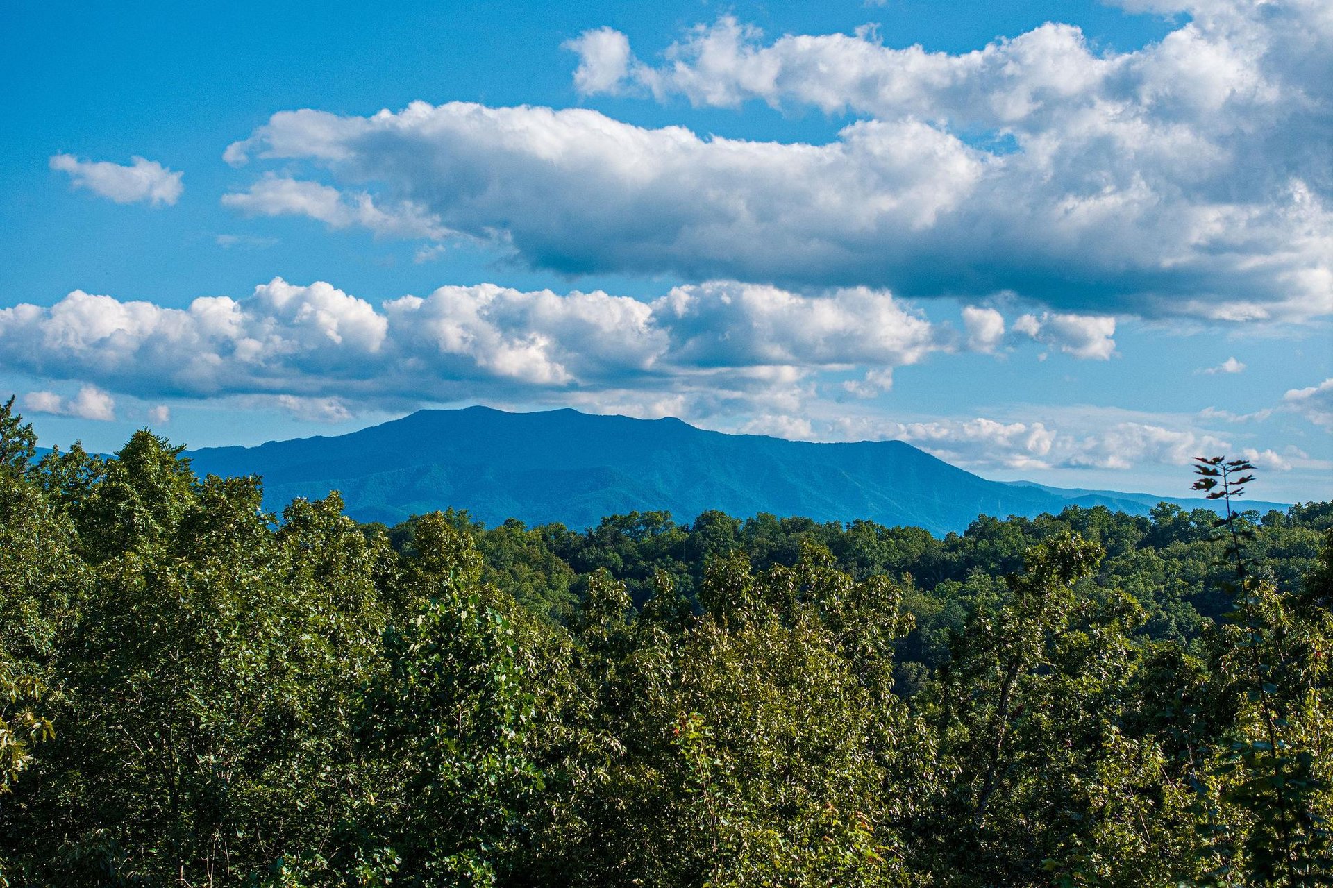 leconteviewlodgeext17