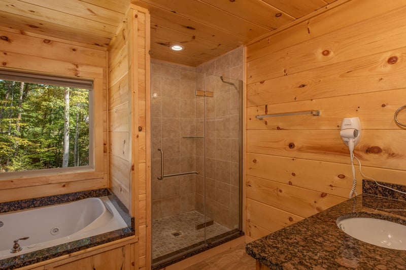 Walk in shower with divider wall to jacuzzi tub