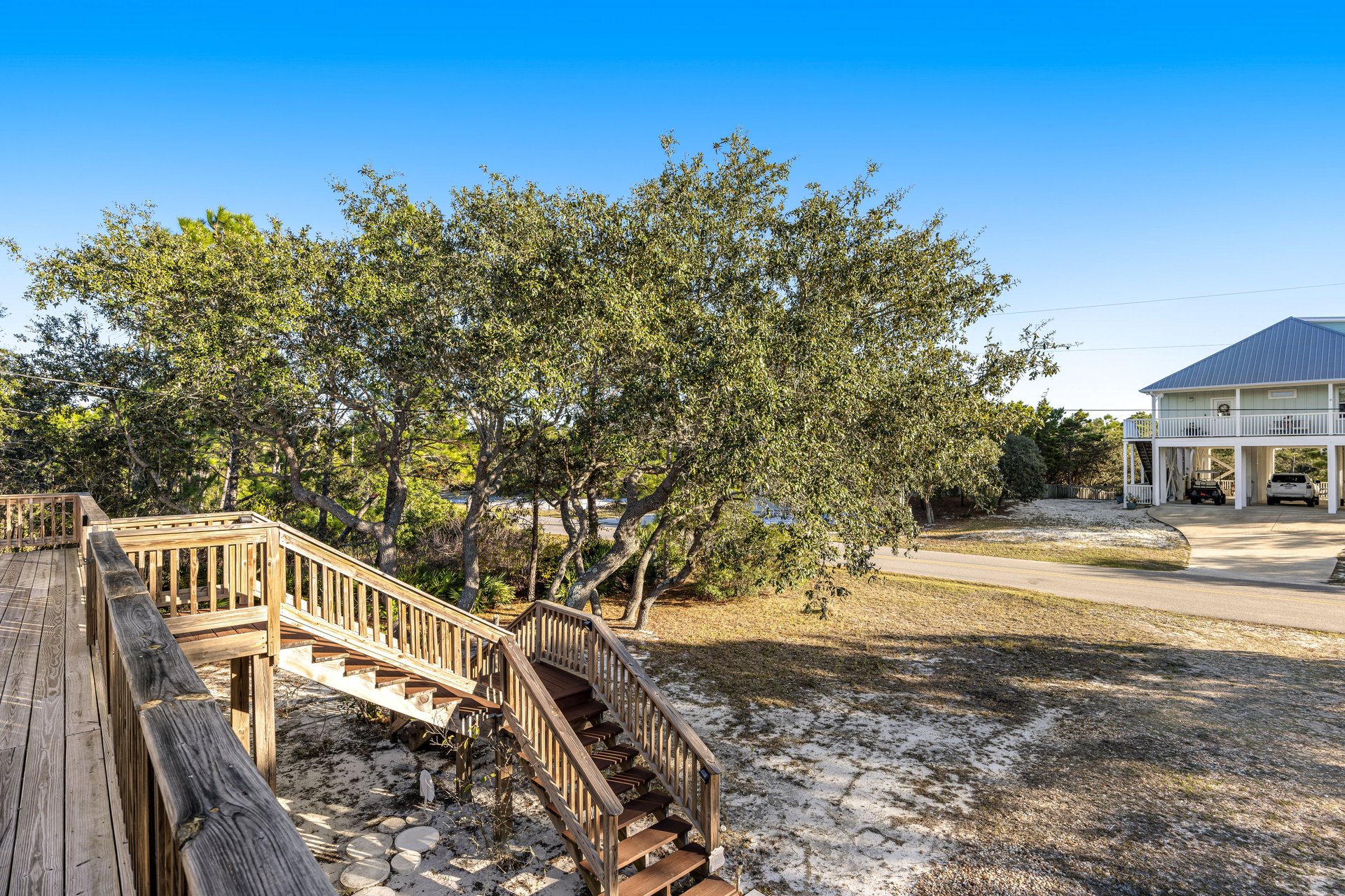 The Purple Palmetto 24