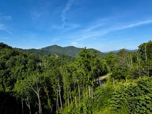 Breathtaking mountain scenery surrounds the property, offering stunning views of lush green peaks and forests under an expansive blue sky.