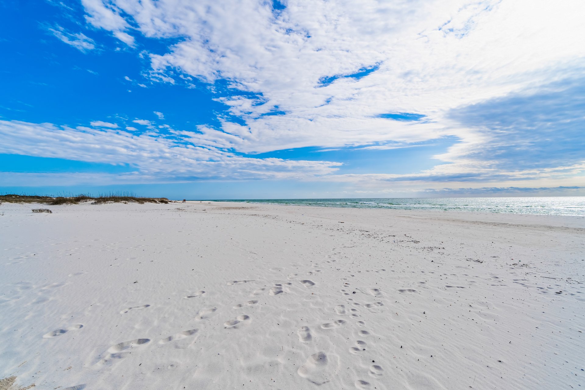 Mandevilla at Martinique 50
