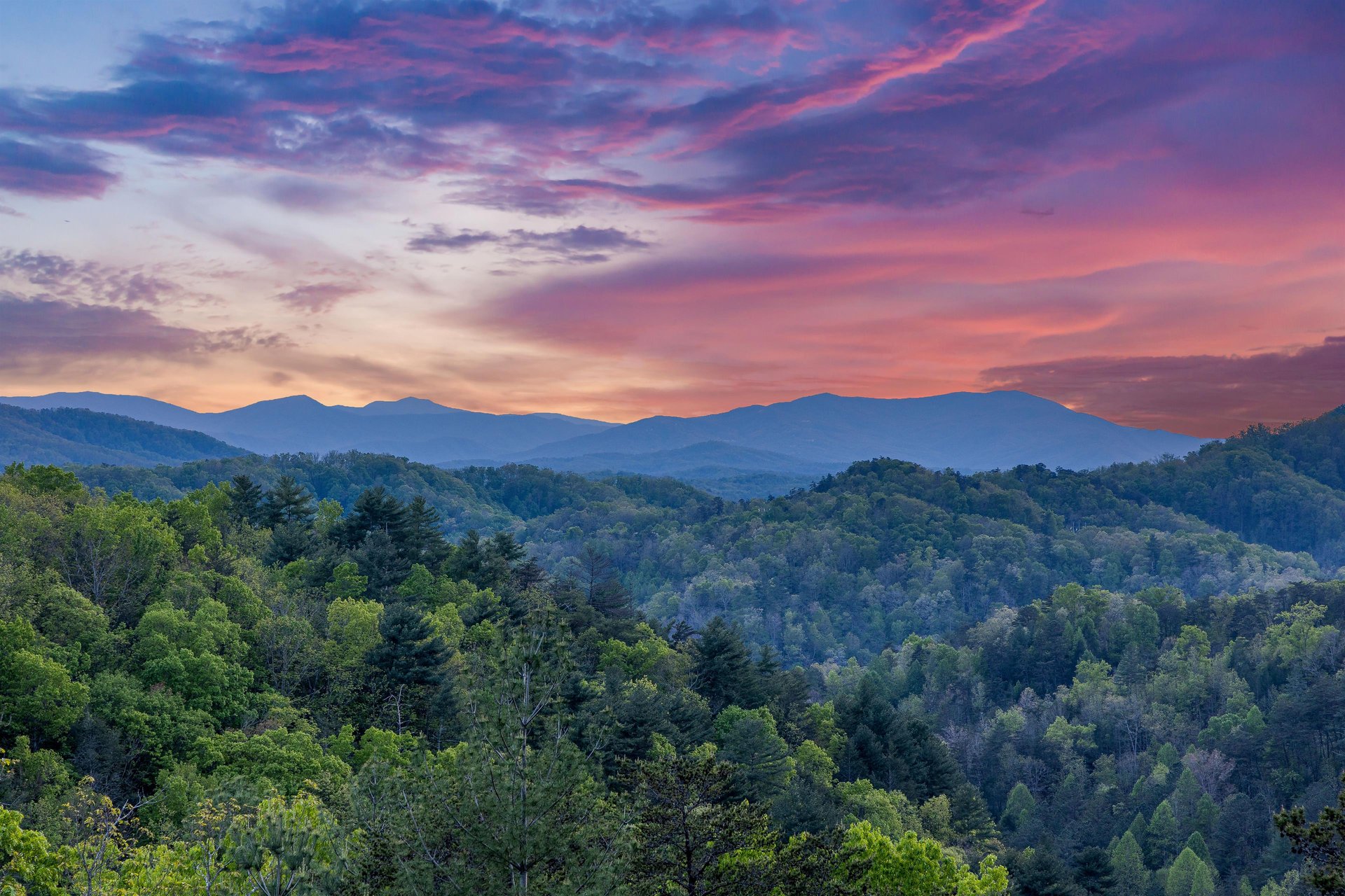 View from Mountain Bliss cabin