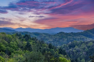 View from Mountain Bliss cabin