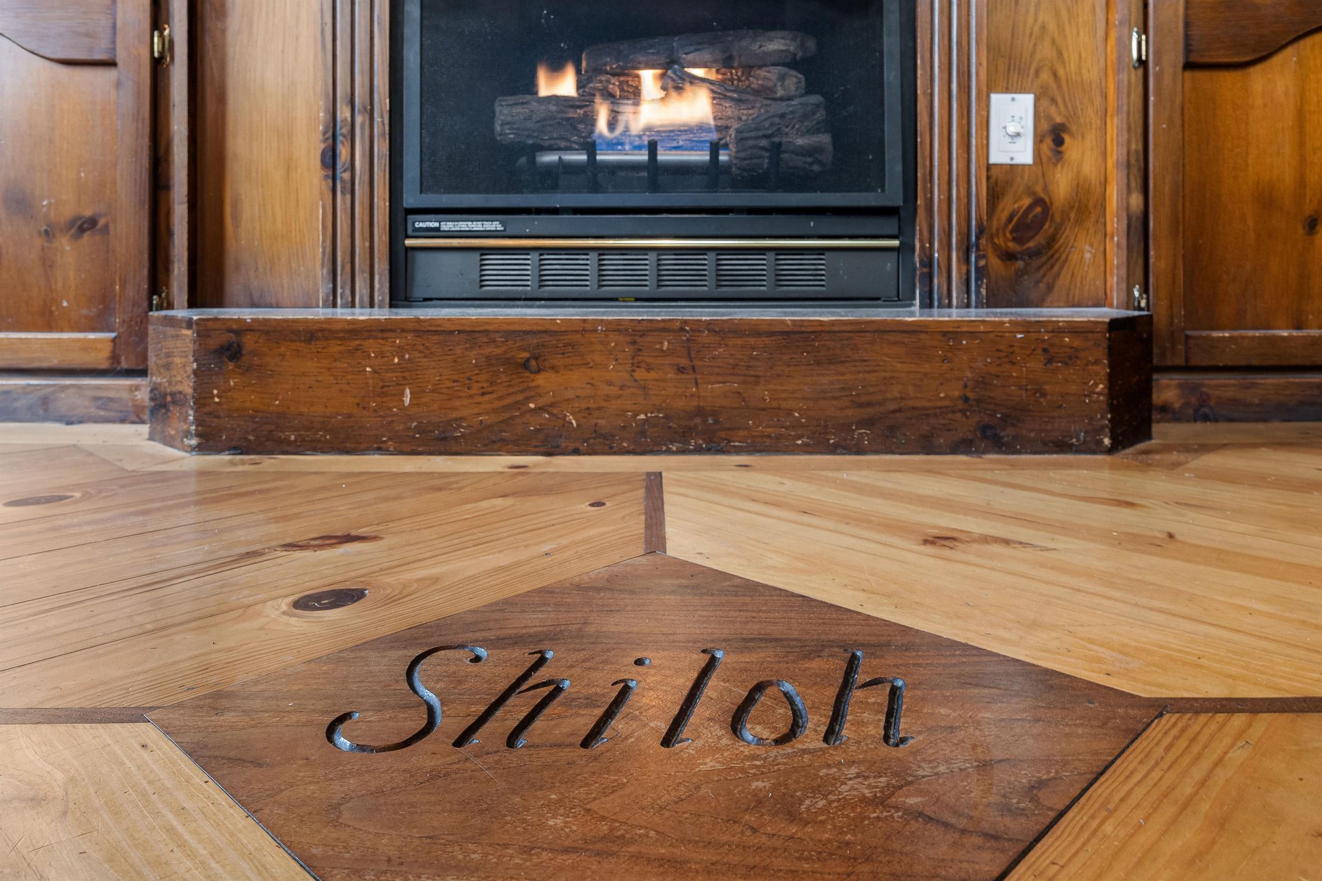 Living Room Fireplace Area