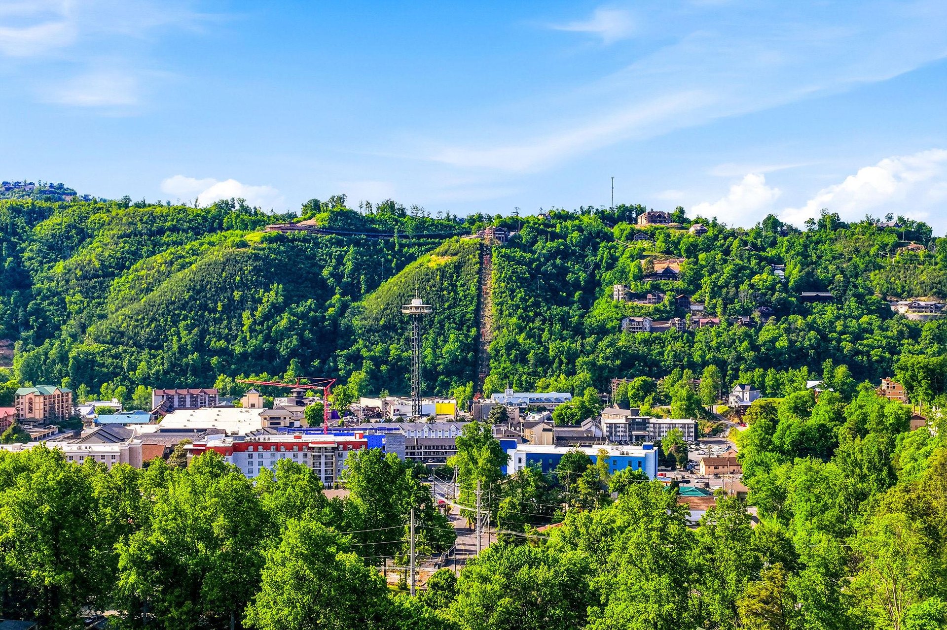 The property is nestled in a vibrant hillside neighborhood surrounded by lush green trees and charming local architecture, offering a picturesque backdrop for your stay.
