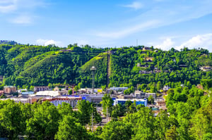 The property is nestled in a vibrant hillside neighborhood surrounded by lush green trees and charming local architecture, offering a picturesque backdrop for your stay.