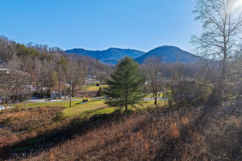 swimminginthesmokies31