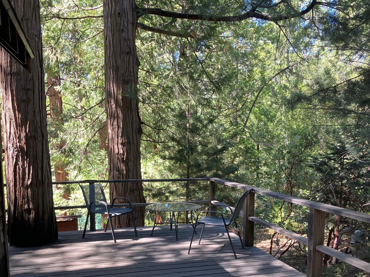 A woodplank deck nestled among towering pines and cedars, with a round table and two chairs for morning coffee or evening conversation beneath the trees.