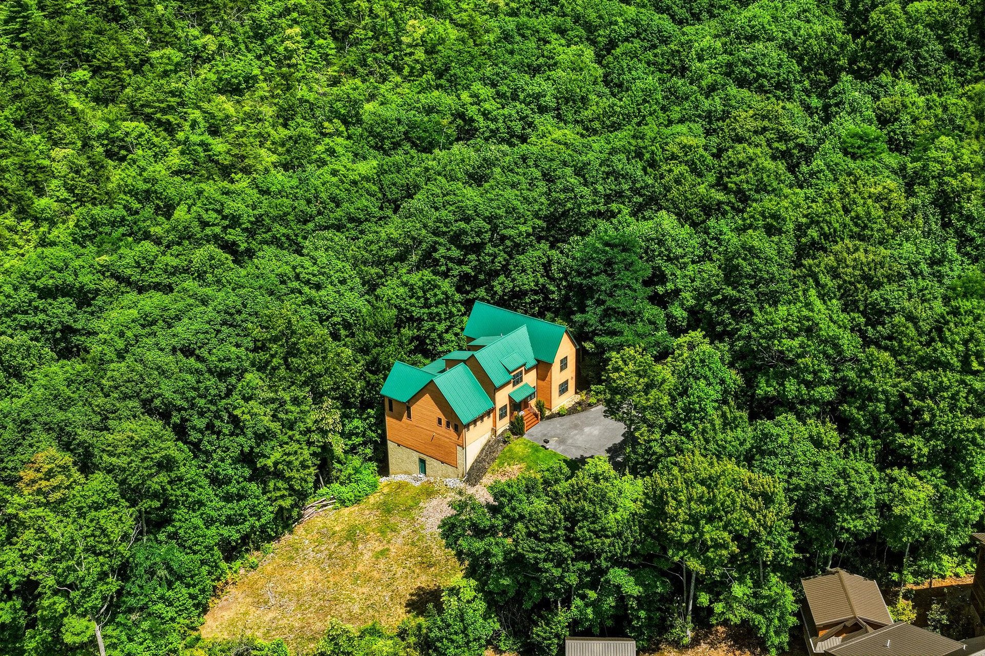 A secluded mountain retreat with distinctive green roofing nestled within dense forest canopy, offering natural privacy and scenic woodland surroundings.