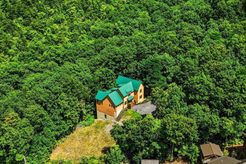 A secluded mountain retreat with distinctive green roofing nestled within dense forest canopy, offering natural privacy and scenic woodland surroundings.