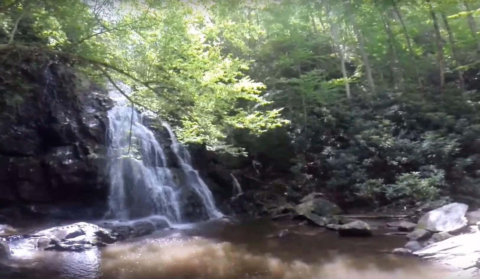 Spruce Flats Falls Beauty Worth Hiking For