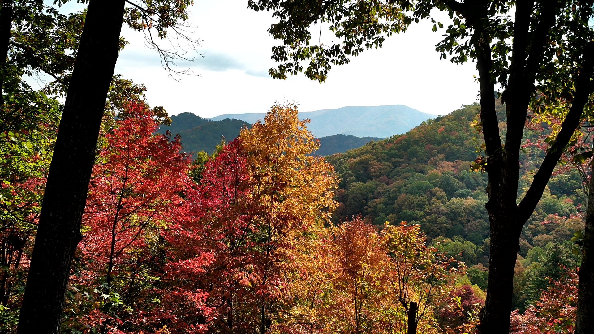 falll view 4