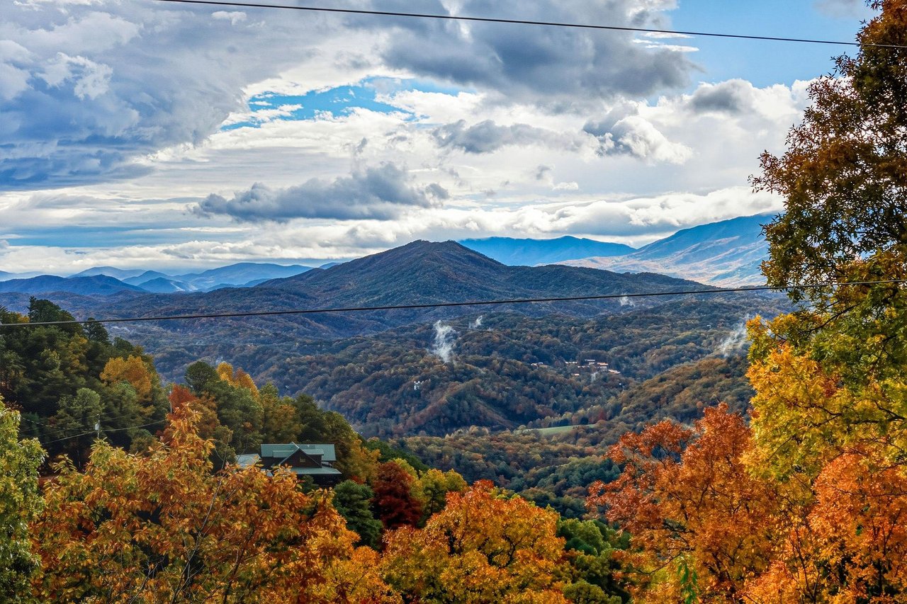 sweetbearolineextupdate15