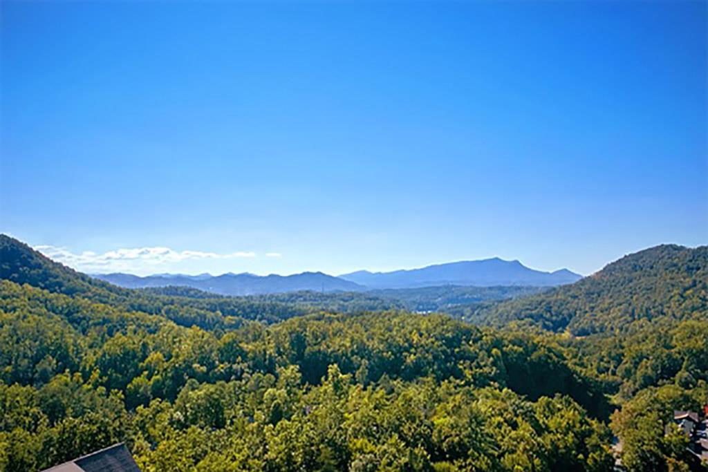 View from Deck
