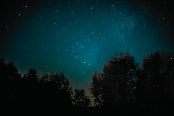 night view