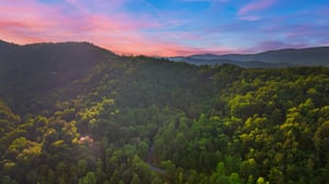 DJI_20240605192916_0086_D