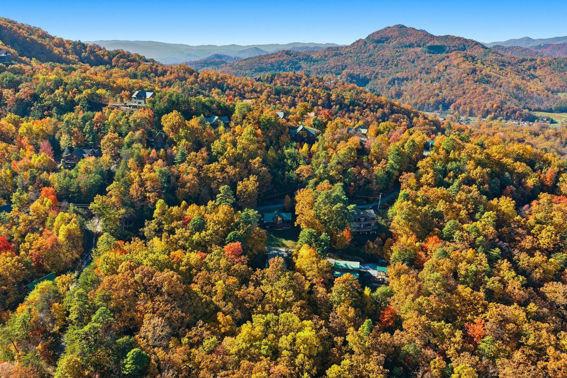 bearmontlodge66