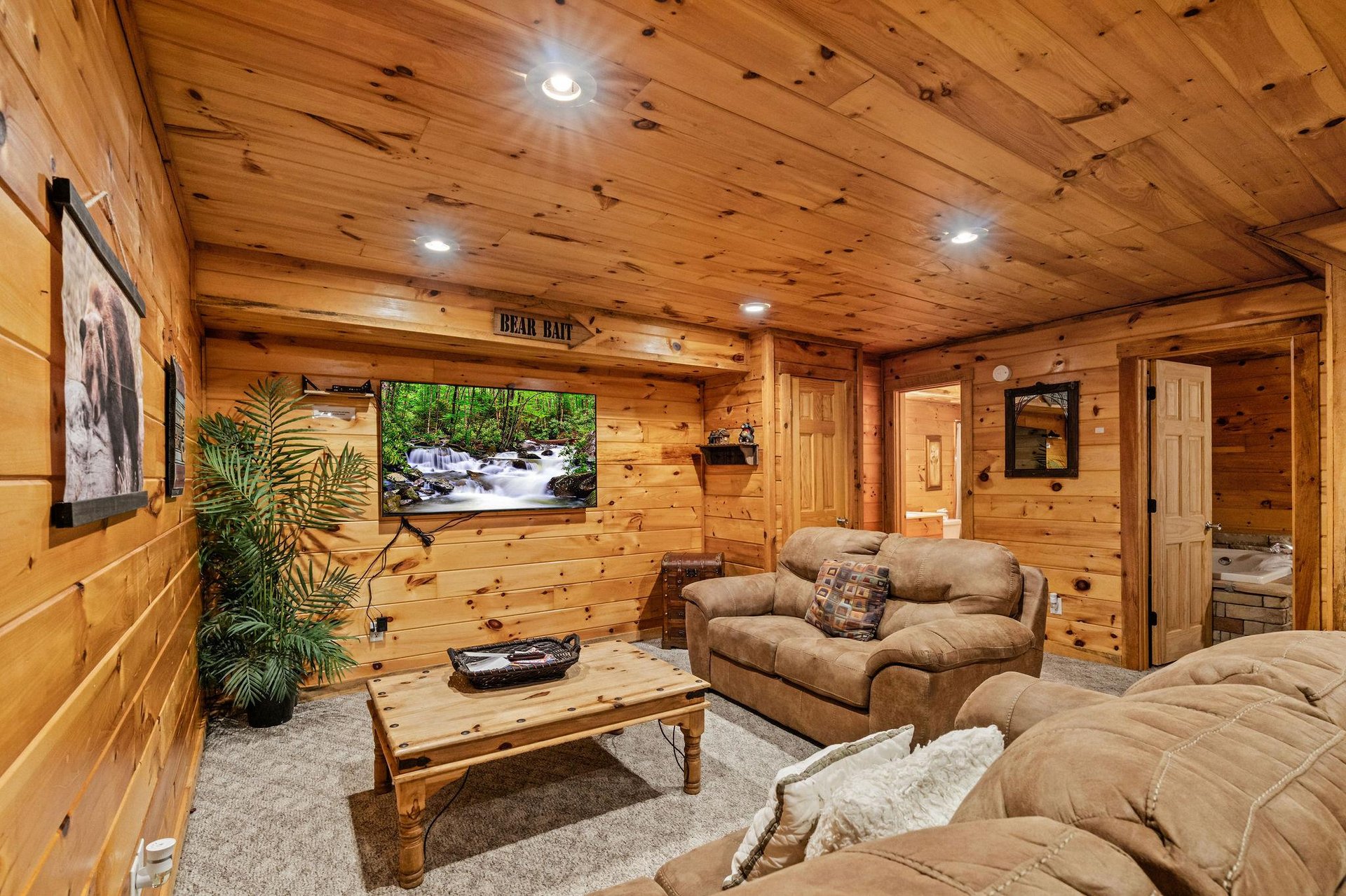 TV Viewing Area