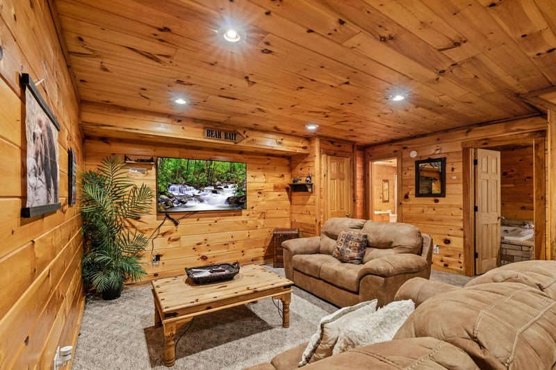 TV Viewing Area